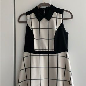 LOFT windowpane shirtdress Peter Pan collar
